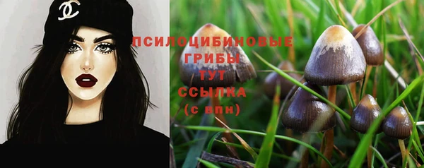 дживик Алзамай