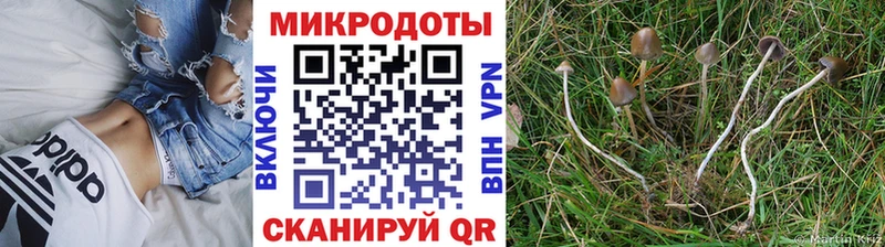 Псилоцибиновые грибы Cubensis  omg ссылка  Ступино 