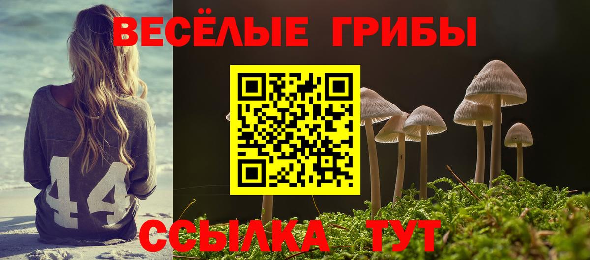 Псилоцибиновые грибы ЛСД Ступино